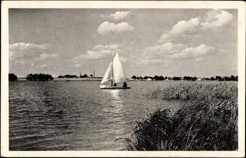 Ak Třeboň Wittingau Südböhmen, Wasserpartie, Segelboot