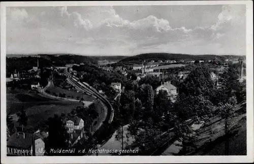 Ak Leisnig in Sachsen, Ort im Muldental von der Hochstraße gesehen