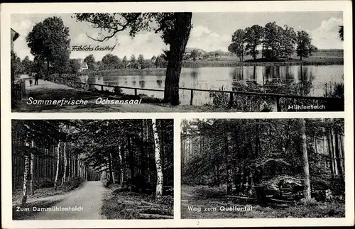 Ak Ochsensaal Dahlen in Sachsen, Gaststätte Fröhlich, Dammühlenteich, Mühlenteich, Quellental