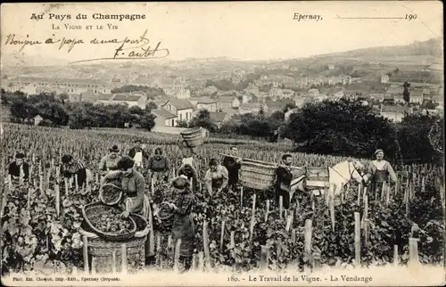 Ak Épernay Marne, Arbeit am Weinstock, Die Ernte