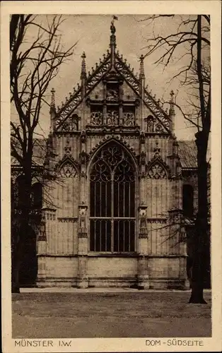 Ak Münster in Westfalen, Dom, Südseite