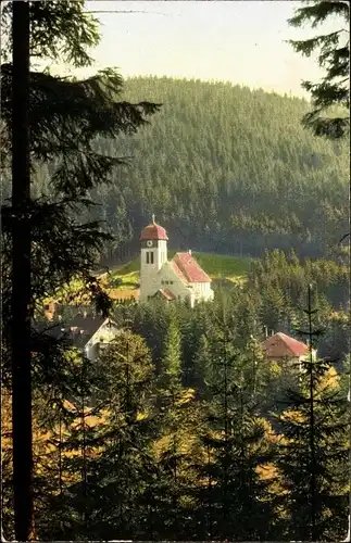 Ak Kipsdorf Altenberg im Erzgebirge, Kirche, Wald