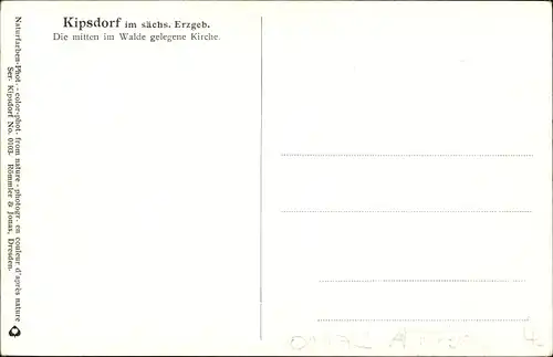Ak Kipsdorf Altenberg im Erzgebirge, Kirche, Wald
