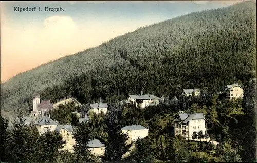 Ak Kipsdorf Altenberg im Erzgebirge, Ortsansicht, Wald