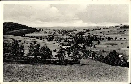 Ak Löwenhain Altenberg im Erzgebirge, Panorama