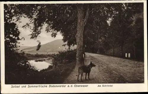 Ak Bodenwerder an der Weser, Schirntal