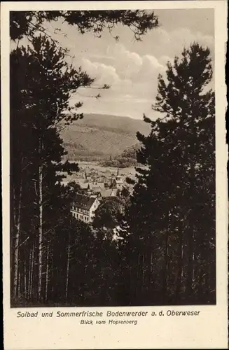 Ak Bodenwerder an der Weser, Totalansicht, Hopfenberg