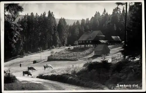 Ak Bühlertal im Schwarzwald, Seebach-Hof