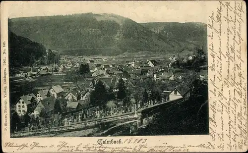 Ak Calmbach Bad Wildbad im Schwarzwald, Panorama
