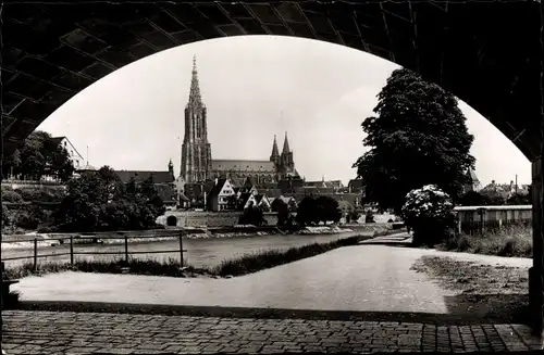 Ak Ulm an der Donau, Münster