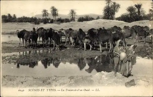 Ak Algerien, Szenen und Typen, Überquerung eines Wadi