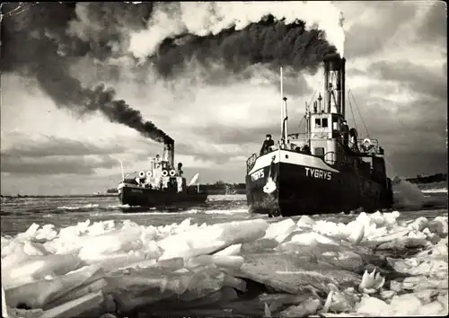 Ak Eisbrecher Tygrys und Pantera