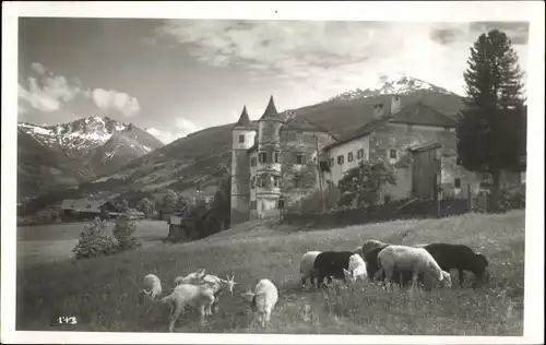 Ak Bad Hofgastein in Salzburg, Weitmoser Schlössl, Ziegen, Schafe