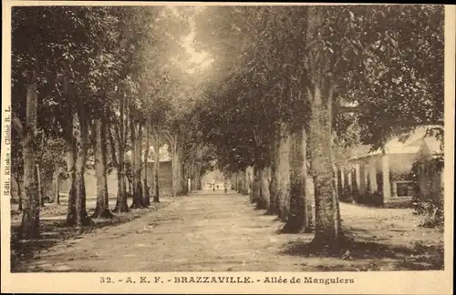 Ak Brazzaville Französisch-Kongo, Allee de Manguiers