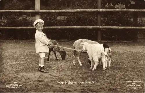 Ak Prinz Hubertus von Preußen, Kinderportrait, Ziegen, Liersch 7188