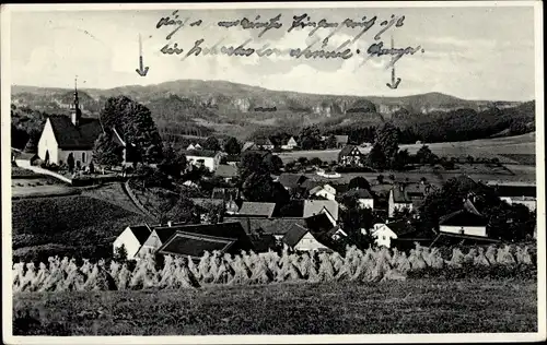 Ak Hinterhermsdorf Sebnitz Sachsen, Panorama mit Kirche