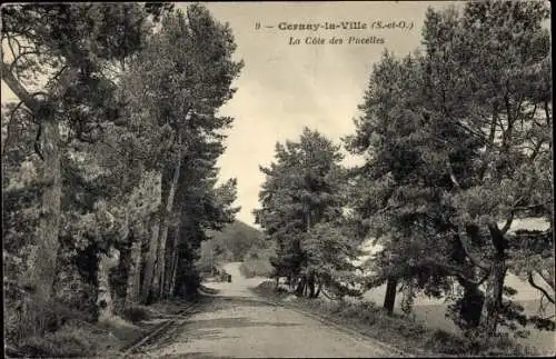 Ak Cernay-la-Ville Yvelines, La Côte des Pucelles