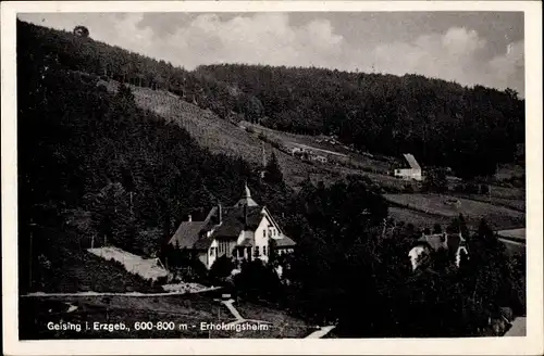 Ak Geising Altenberg Erzgebirge, Erholungsheim, Waldlandschaft