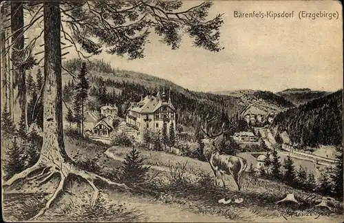 Ak Bärenfels Kipsdorf Altenberg im Erzgebirge, Talblick, Hirsch