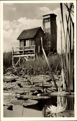 Ak Bad Buchau am Federsee Oberschwaben, Beobachtungsstation der Vogelwarte Radolfzell