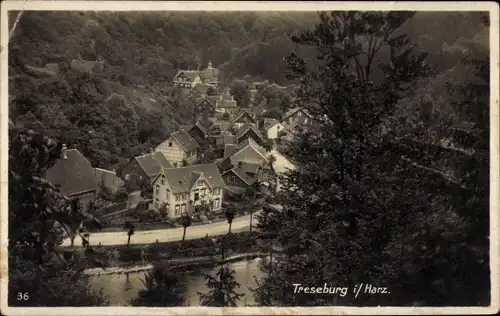 Ak Treseburg Thale im Harz, Ortsansicht