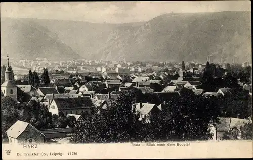 Ak Thale im Harz, Panorama, Bodetal