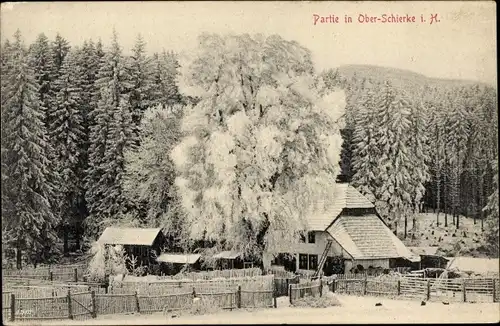 Ak Ober-Schierke Wernigerode im Harz, Gehöft, Winter