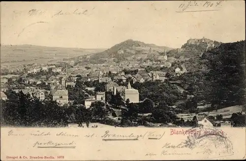 Ak Blankenburg am Harz, Panorama