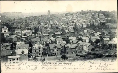 Ak Siegen in Westfalen, Totalansicht, Häusling