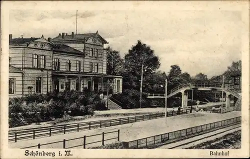 Ak Schönberg in Mecklenburg, Bahnhof, Gleisseite