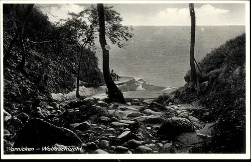 Ak Lesnoje Warnicken Ostpreußen, Wolfsschlucht