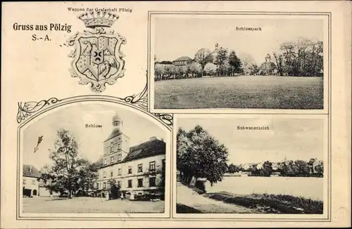 Wappen Ak Pölzig in Thüringen, Schloss, Schlosspark, Schwanenteich