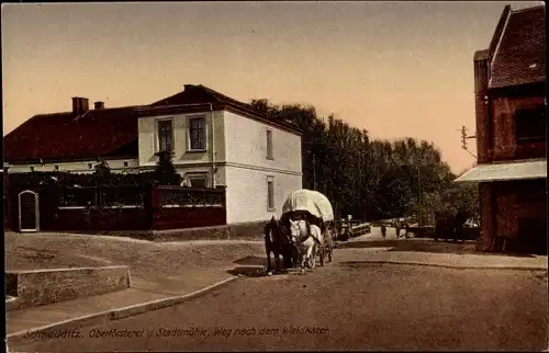 Ak Schkeuditz in Nordsachsen, Oberförsterei, Stadtmühle, Weg nach dem Waldkater, Pferdekarren