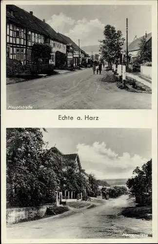 Ak Echte Kalefeld am Harz, Hauptstraße, Herrenwiese