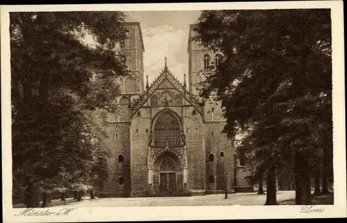 Ak Münster in Westfalen, Teilansicht vom Dom