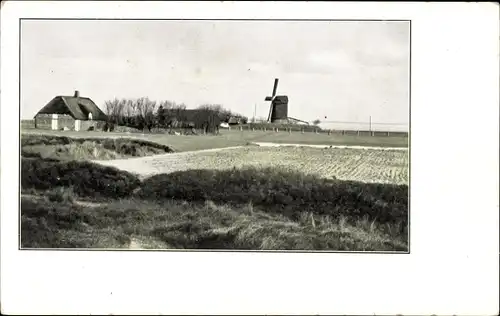 Ak Rømø Insel Röm Dänemark, Blick zur Windmühle, Reetdachhaus