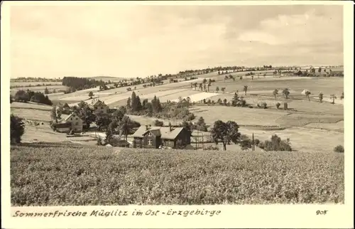 Foto Ak Müglitz Altenberg im Erzgebirge, Panorama