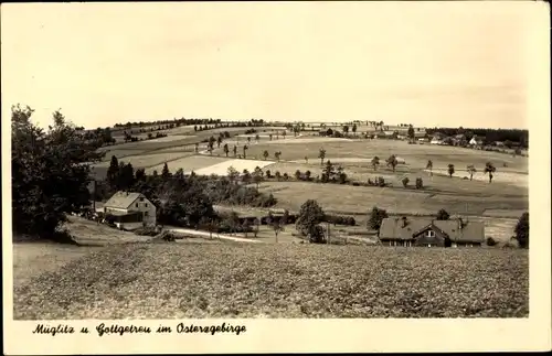 Ak Müglitz Altenberg im Erzgebirge, Gottgetreu, Panorama