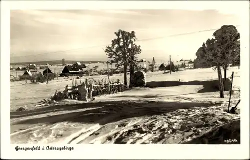 Ak Zinnwald Georgenfeld Altenberg im Erzgebirge, Winter, Panorama