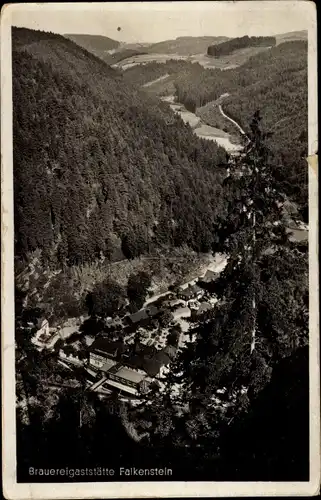 Ak Falkenstein Ludwigsstadt in Oberfranken, Brauereigaststätte, Fischbachsmühle, Burg Lauenstein