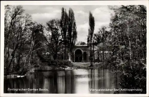 Ak Berlin Charlottenburg, Zoologischer Garten, Vierwaldstädter See, Antilopenhaus