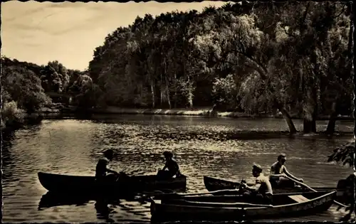 Ak Meerane in Sachsen, Gondelteich, Ruderboote