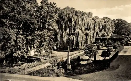 Ak Bischofswerda in Sachsen, Mühlteich