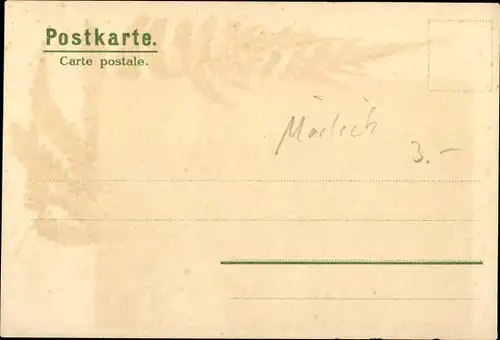 Künstler Litho Mailick, Waldmotiv, Farn, Bäume