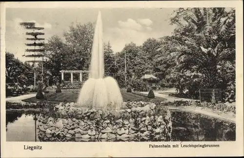 Ak Legnica Liegnitz Schlesien, Palmenhain, Leuchtspringbrunnen