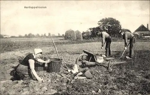 Ak Niederländische Bauern bei der Kartoffelernte