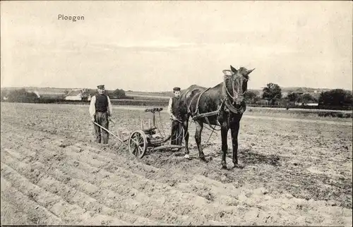 Ak Niederlande, Bauern mit Pferdepflug auf dem Feld