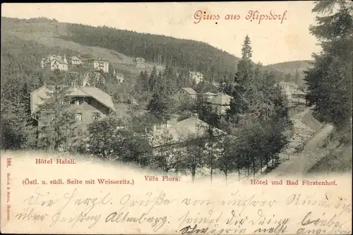 Ak Kipsdorf Altenberg im Erzgebirge, Hotal Halali, Villa Flora, Hotel und Bad Fürstenhof