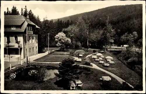 Ak Waldbärenburg Altenberg im Erzgebirge, Hotel und Pension Schäfermühle