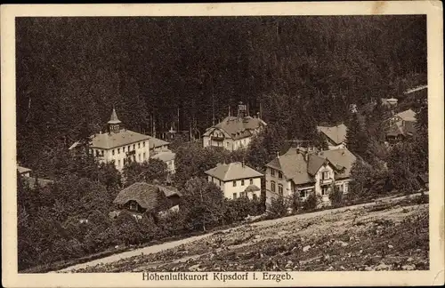 Ak Kipsdorf Altenberg Erzgebirge, Teilansicht